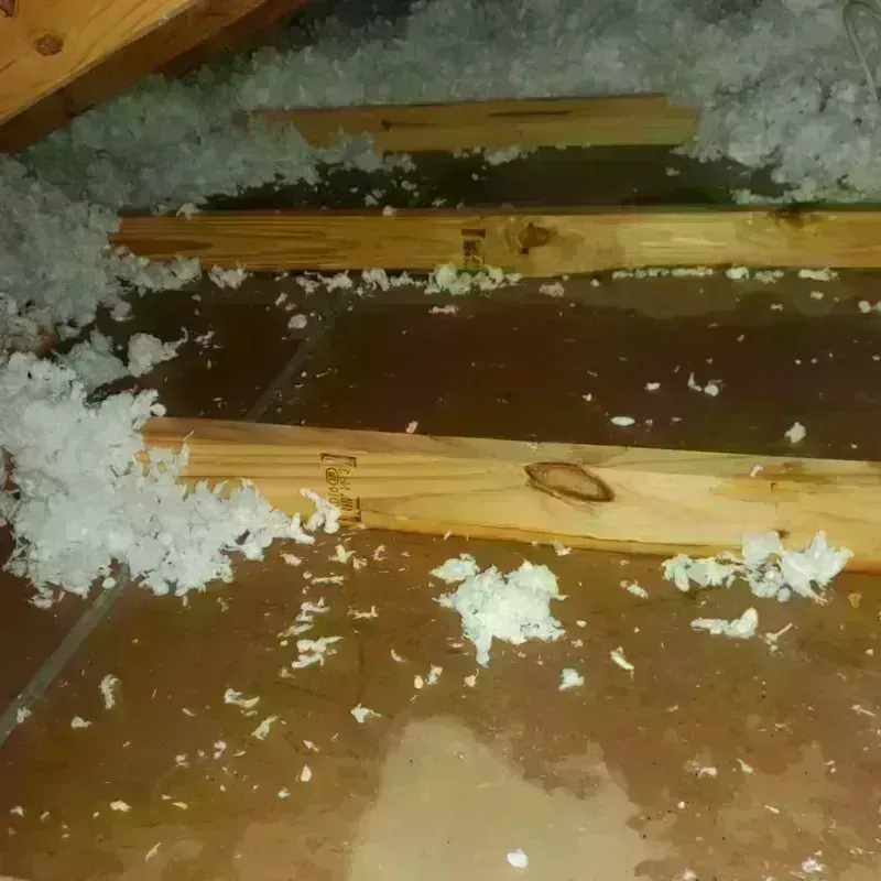 Attic Water Damage in Alamance County, NC